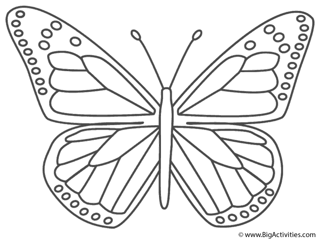 b for butterfly coloring pages - photo #25