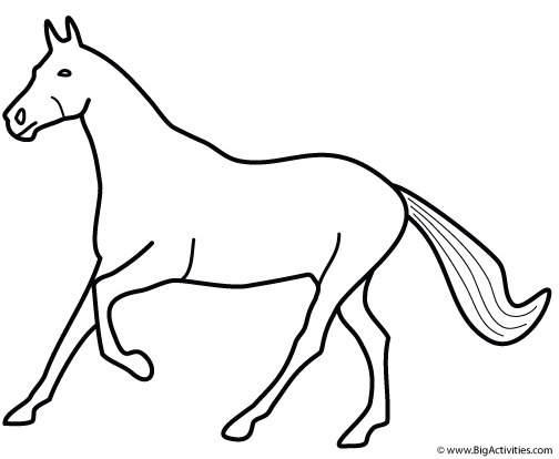 galloping horse coloring pages - photo #16