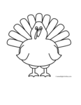 turkey (front)