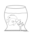 discus fish in fish bowl