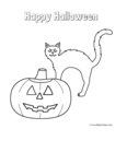 pumpkin/jack-o-lantern with black cat