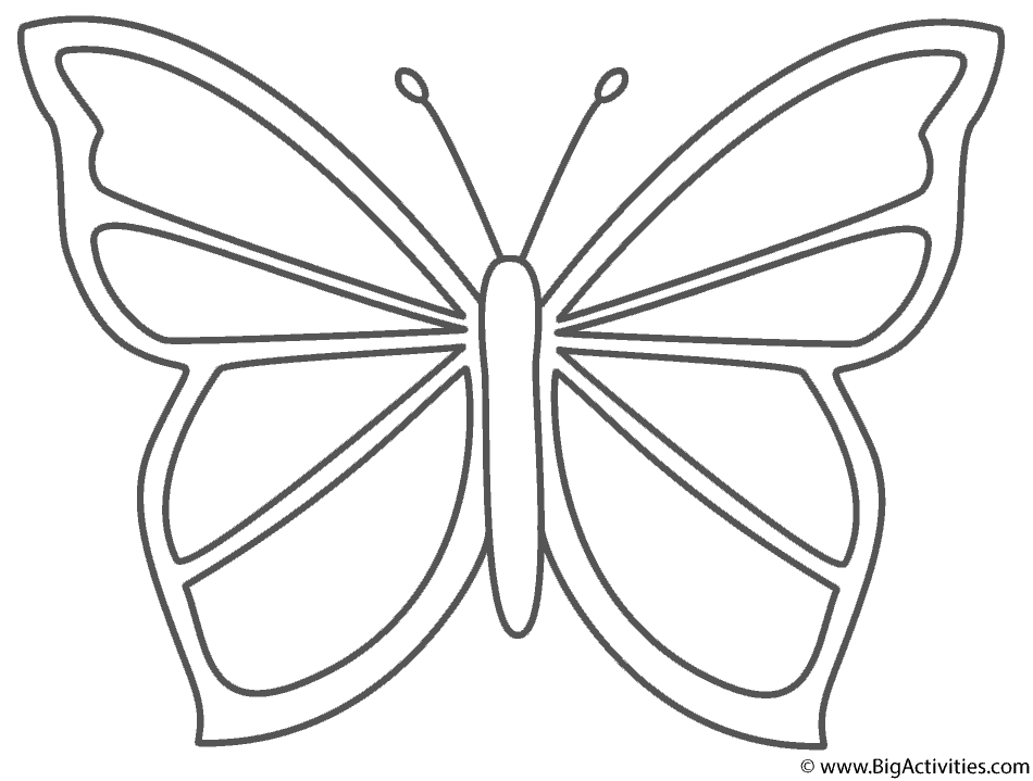 coloring pages of butterflies and. Butterfly - Coloring Pages