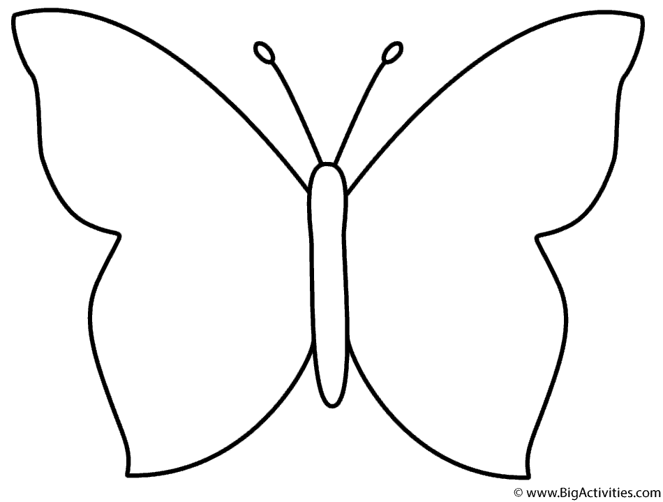 Photos - Bild - Galeria: BUTTERFLY OUTLINE COLORING PAGES