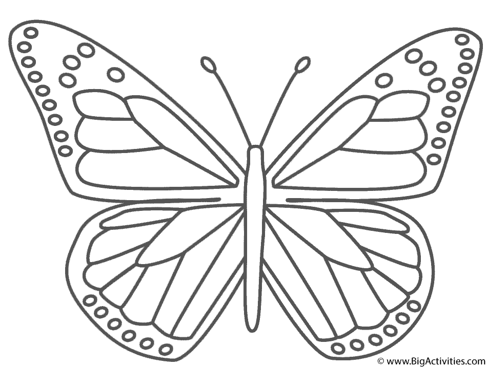 coloring pages of butterflies and. My kids love to color pictures