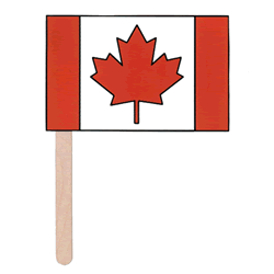 remembrance day flag