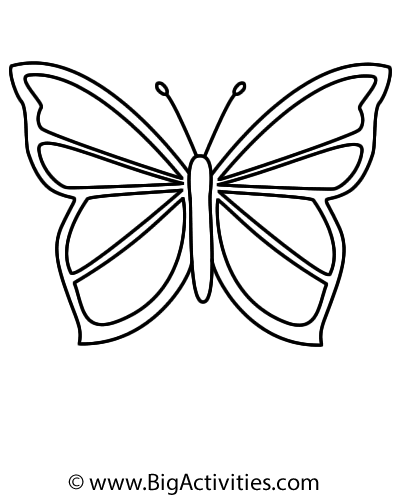 sudoku puzzle with a butterfly