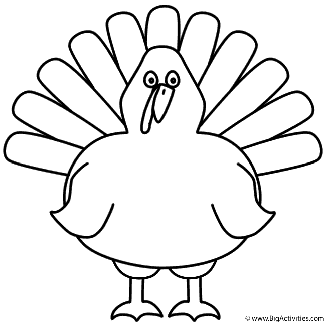 710 Top Turkey Bird Coloring Pages Pictures