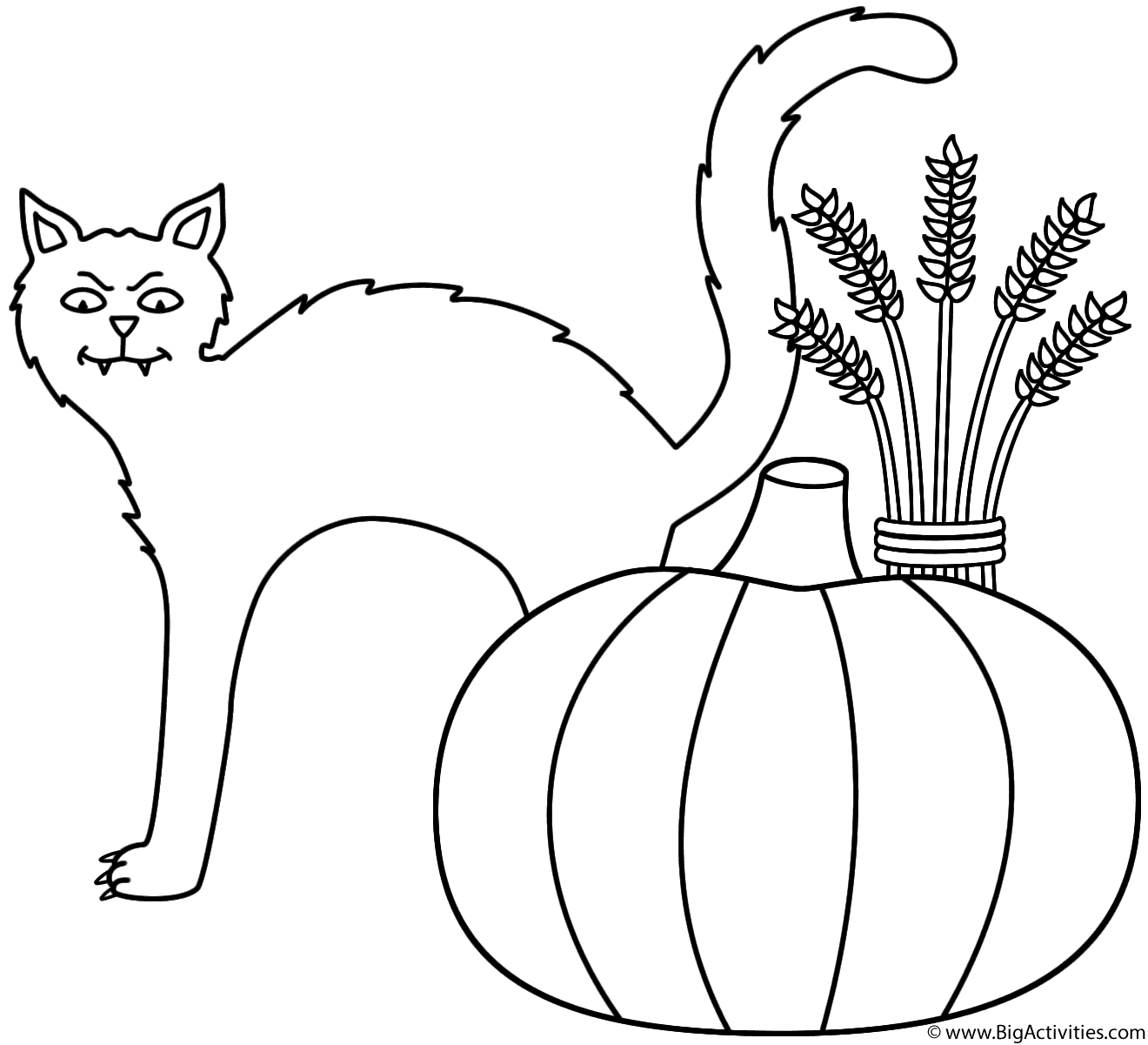 Download Black cat with pumpkin and wheat sheaf - Coloring Page ...