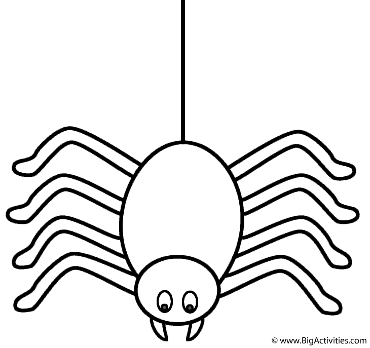 Spider on thread - Coloring Page (Halloween)