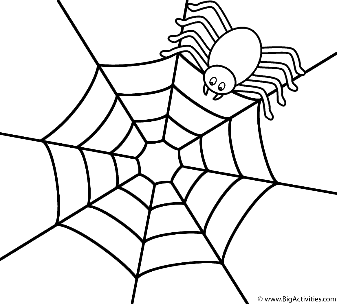Spider on the top of web - Coloring Page (Halloween)