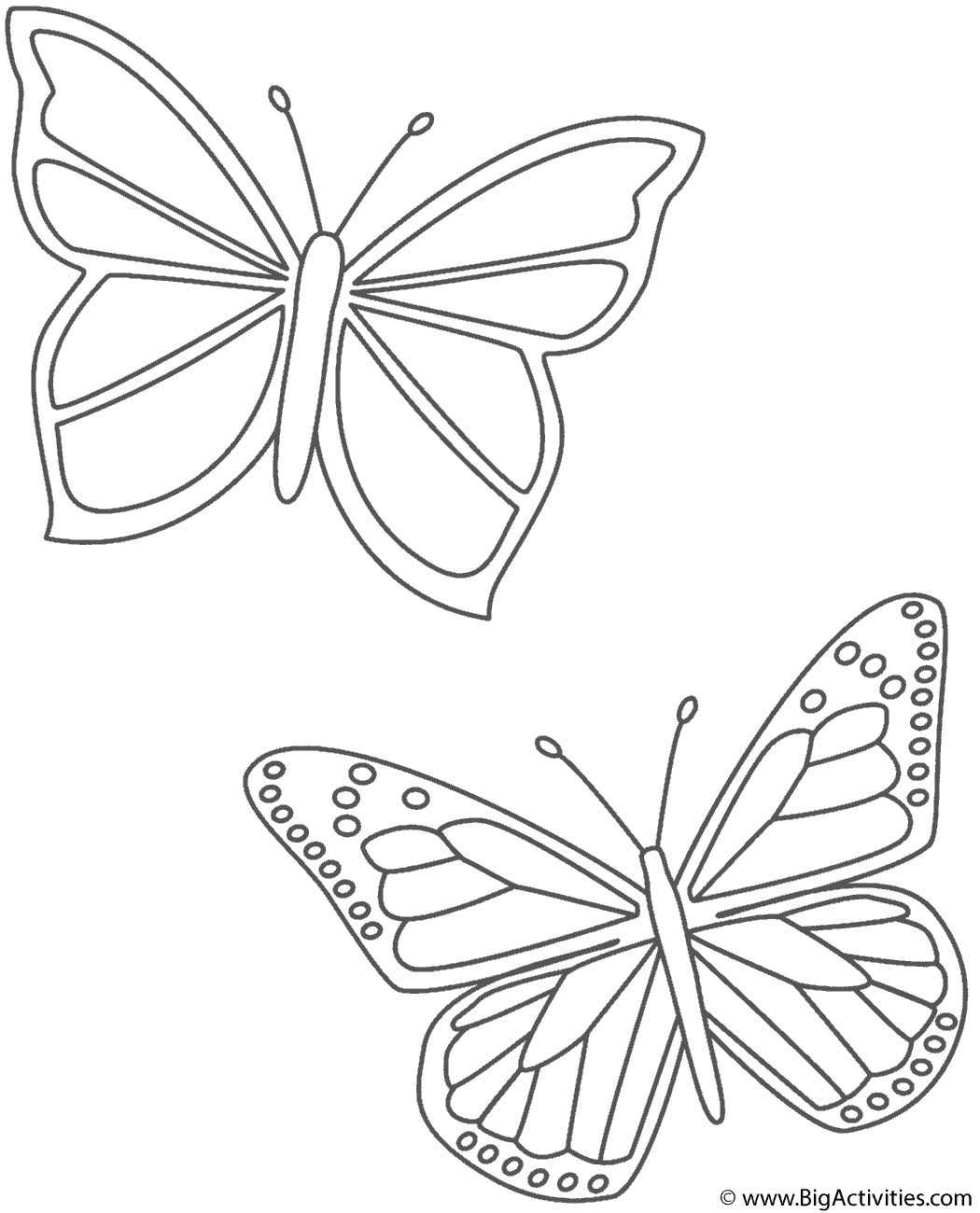 Two Butterflies   Coloring Page Insects