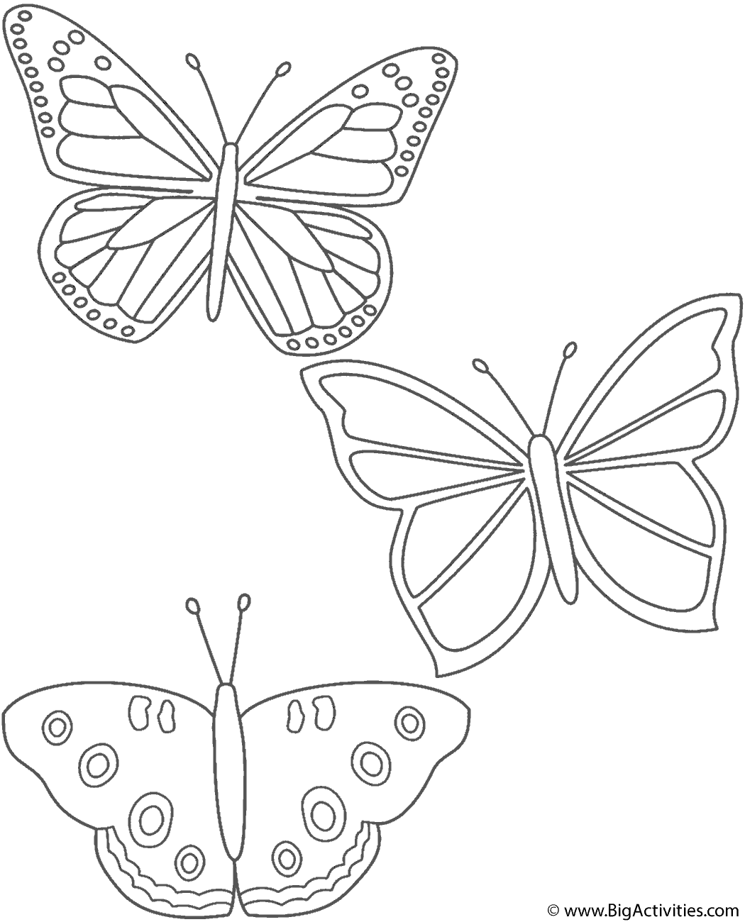 Download Three Butterflies - Coloring Page (Insects)