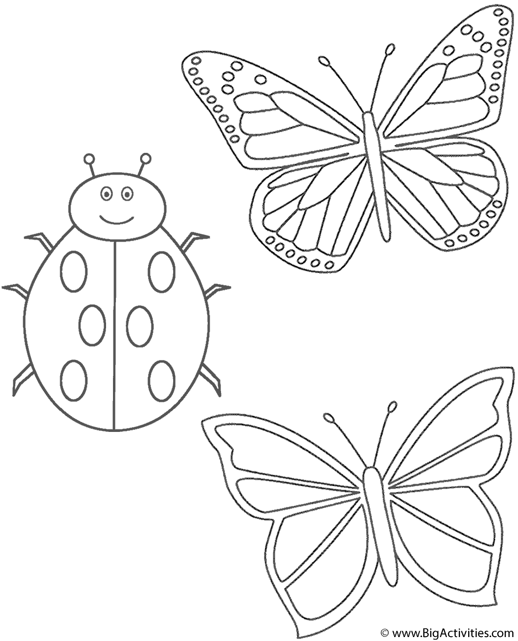 Two Butterflies and Ladybug   Coloring Page Insects