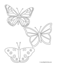 Simple Butterfly - Coloring Page (Insects)