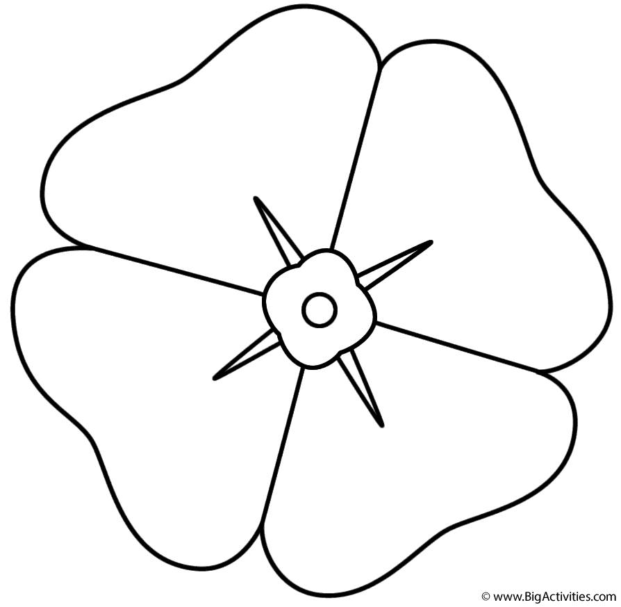 Poppy - Coloring Page (Memorial Day)