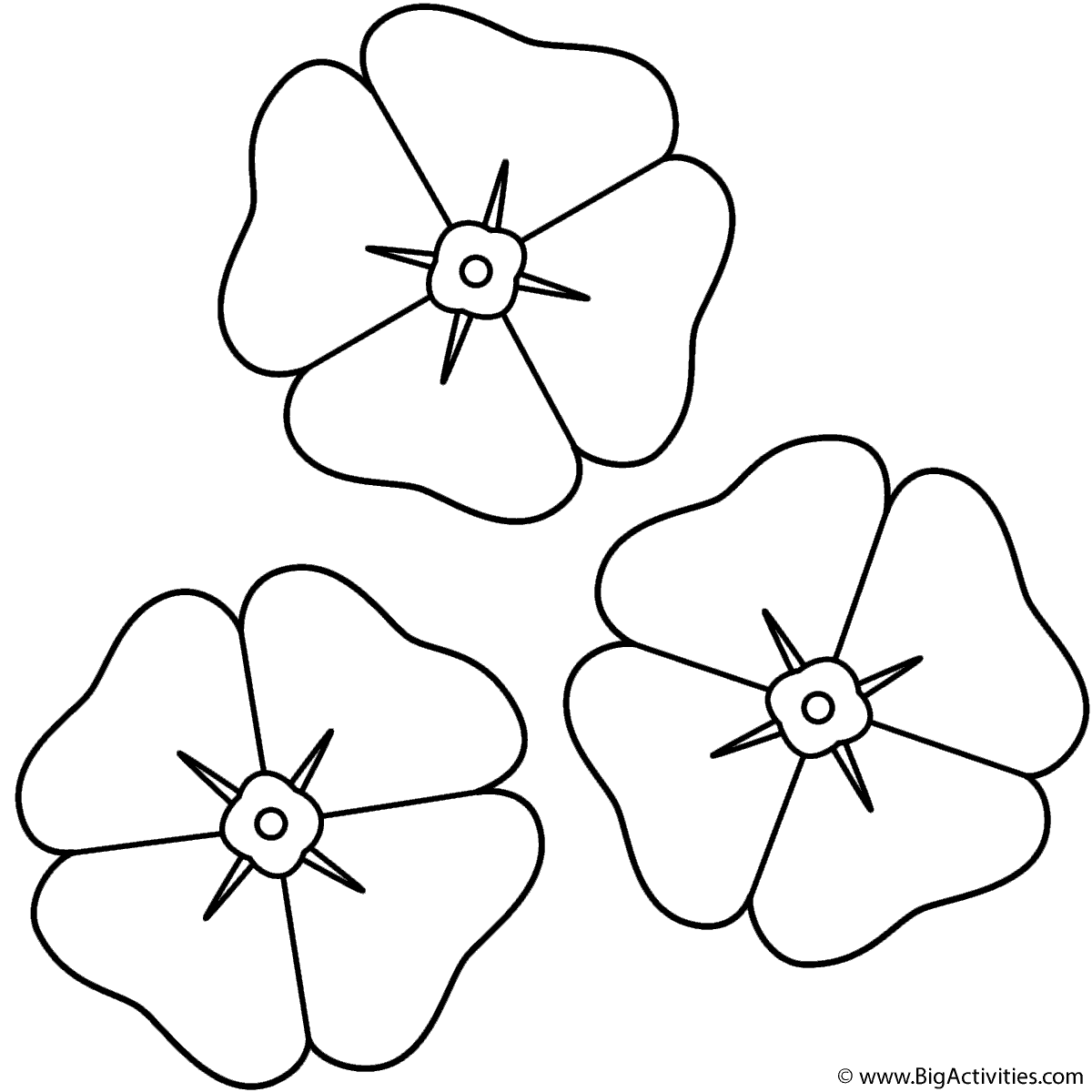 Download Poppies - Coloring Page (Plants)