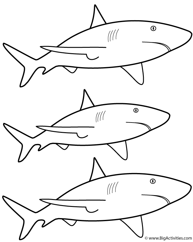 ocean shark coloring pages - photo #1
